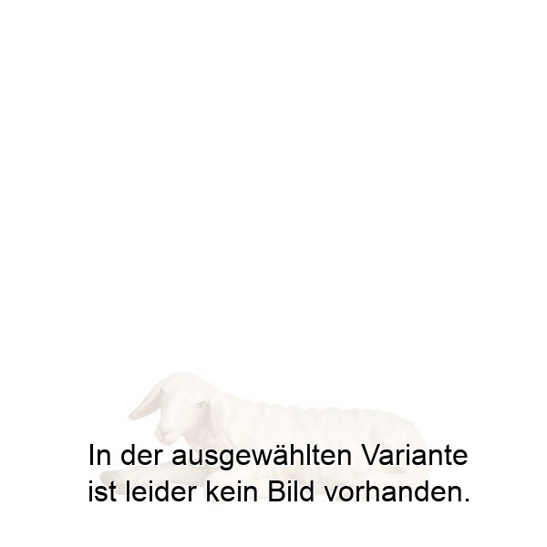 Schaf liegend links Schaf liegend links