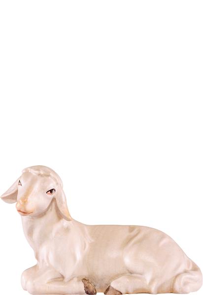 Schaf liegend Artis Schaf liegend Artis