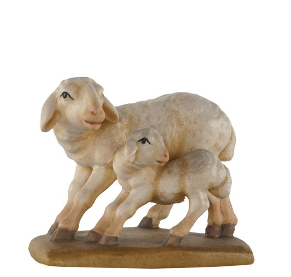 Schafgruppe stehend Schafgruppe stehend