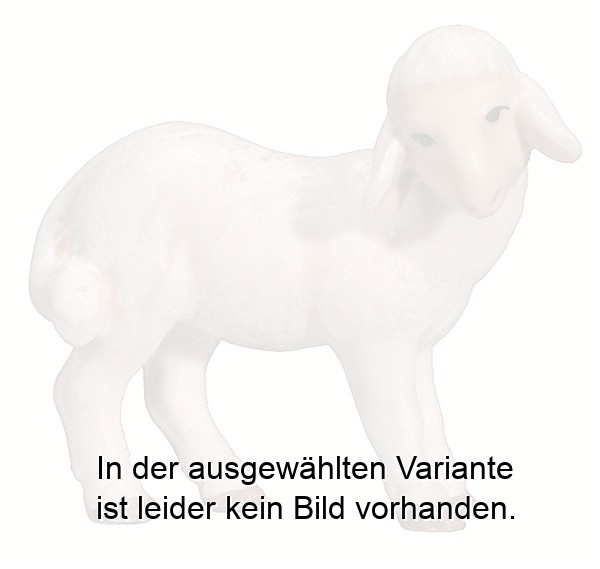 Lamm stehend Lamm stehend