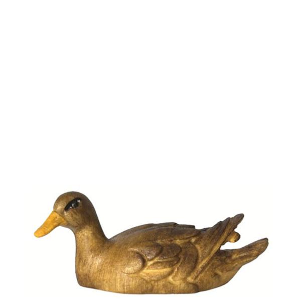 Ente schwimmend - Kopf links braun
