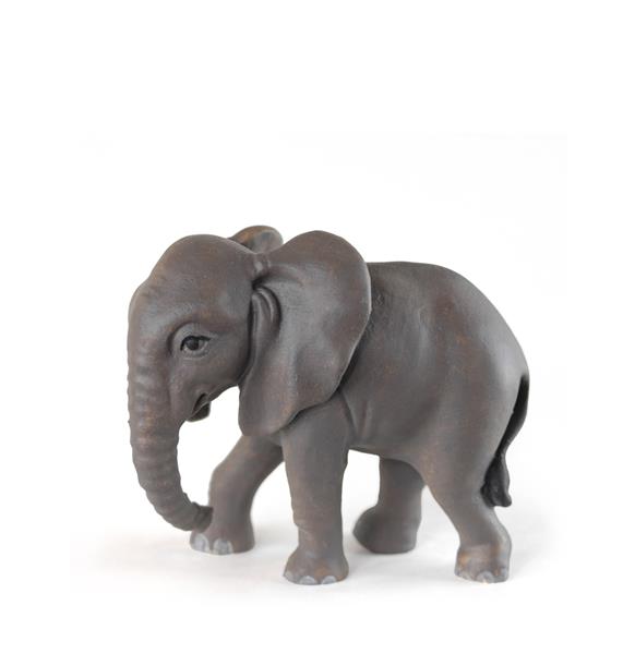 Baby Elefant stehend