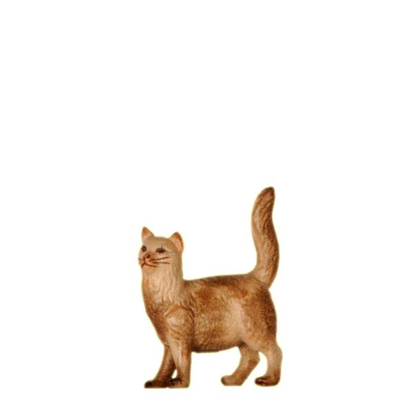 Katze stehend