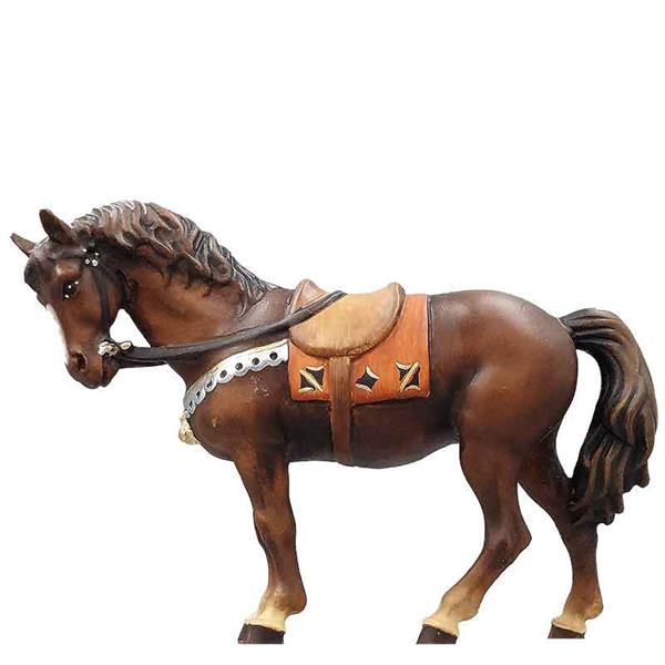 Pferd dunkelbraun