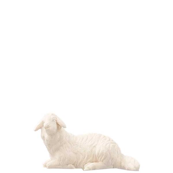 Schaf liegend Schaf liegend