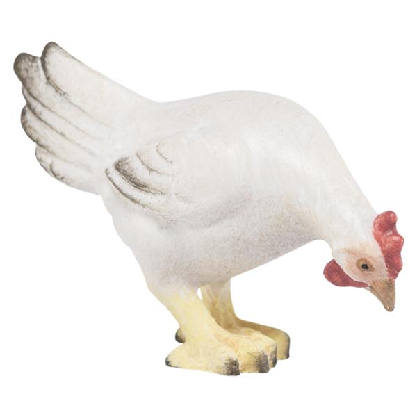 Weiße Henne pickend