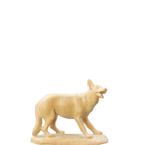 Schäferhund Schäferhund