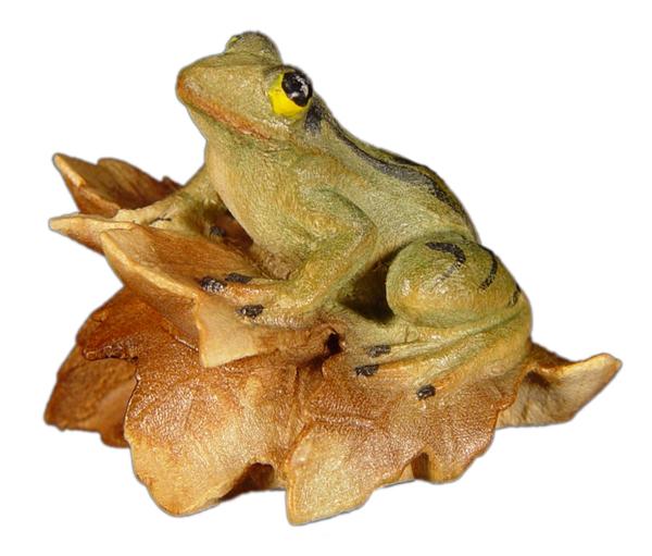 Frosch auf Blatt