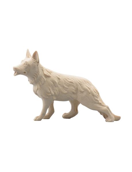 Schäferhund Schäferhund