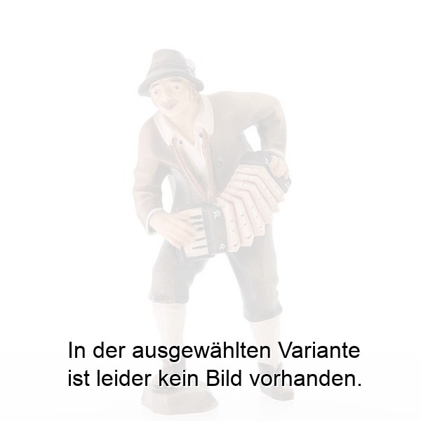 Musikant mit Ziehharmonika Musikant mit Ziehharmonika