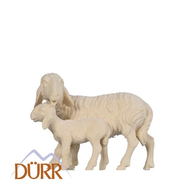 Schaf mit Lamm leckend ohne Sockel Schaf mit Lamm leckend ohne Sockel