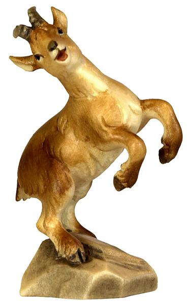 Steinbockkitz stehend - links Steinbockkitz stehend - links