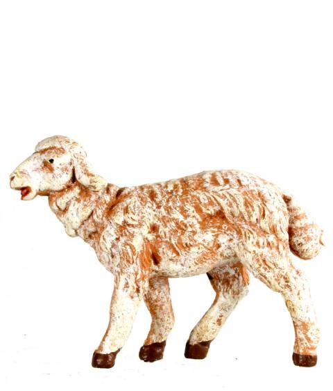 Schaf stehend Schaf stehend