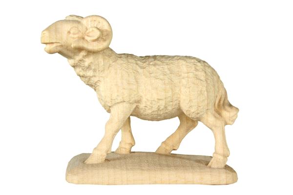 Schafbock