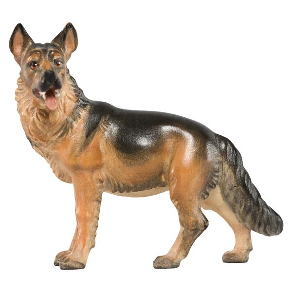 Schäferhund Schäferhund