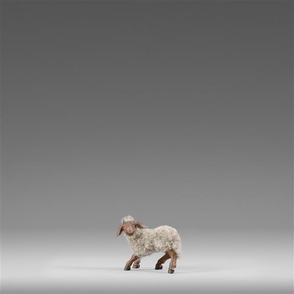 Lamm links schauend mit Wolle grau Lamm links schauend mit Wolle grau