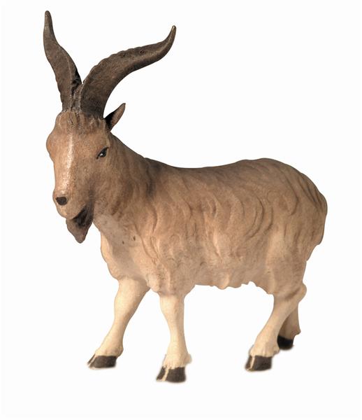 Ziegenbock Ziegenbock