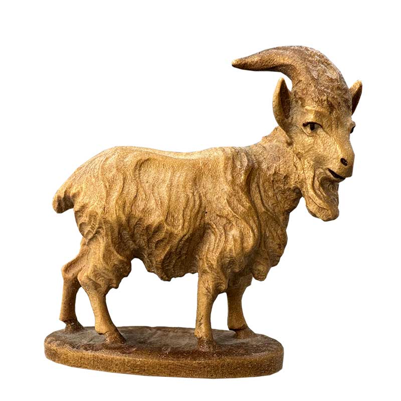Ziegenbock Ziegenbock
