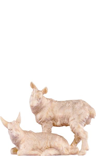 Kitzgruppe Kitzgruppe