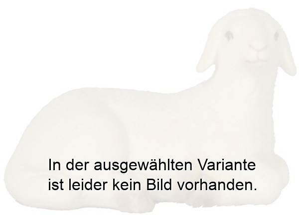 Schaf liegend Schaf liegend