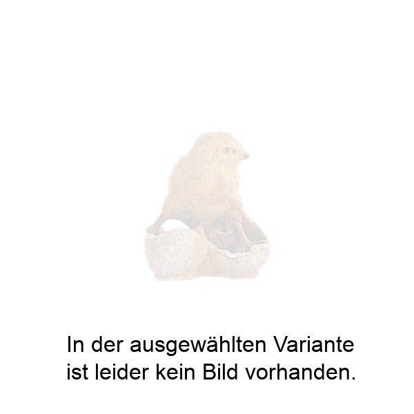 Küken in Eierschale Küken in Eierschale