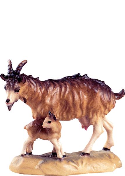 Ziege mit Kitz