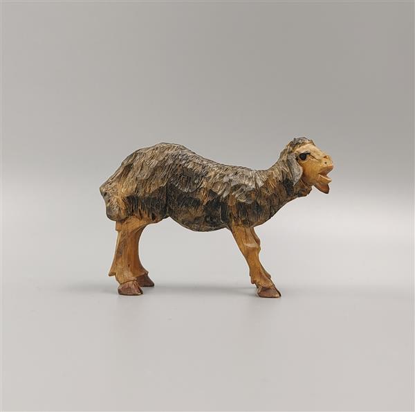 Lamm stehend schwarz