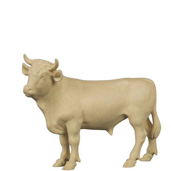 Ochs stehend Ochs stehend