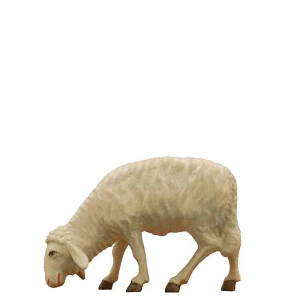 Schaf fressend Schaf fressend