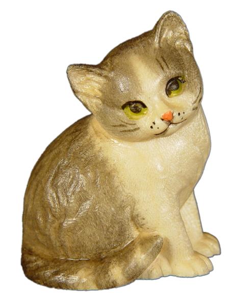 Katzenjunge links