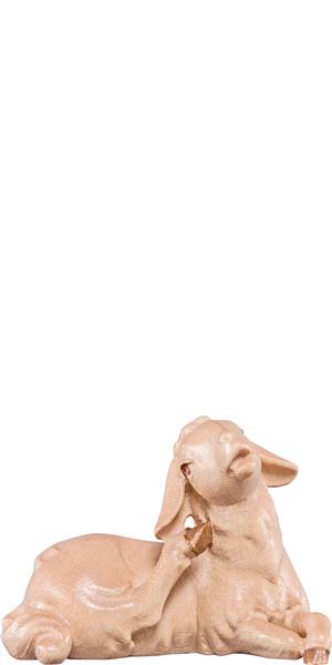 Lamm liegend Artis Lamm liegend Artis