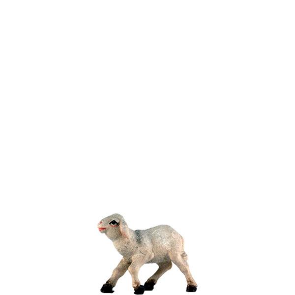 Lamm Lamm