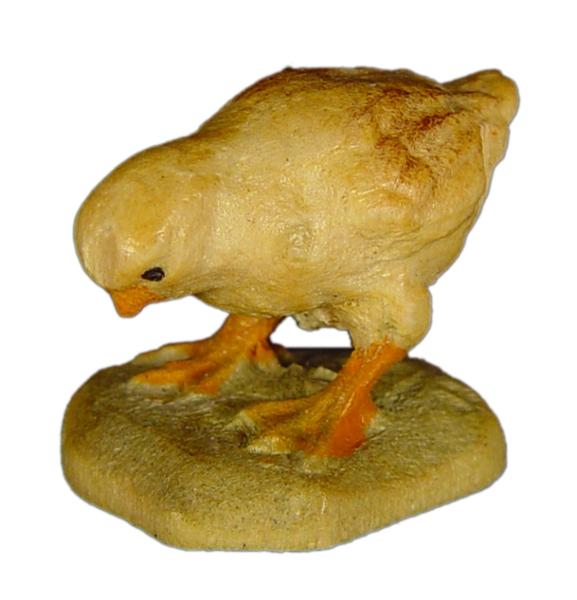 Küken pickend