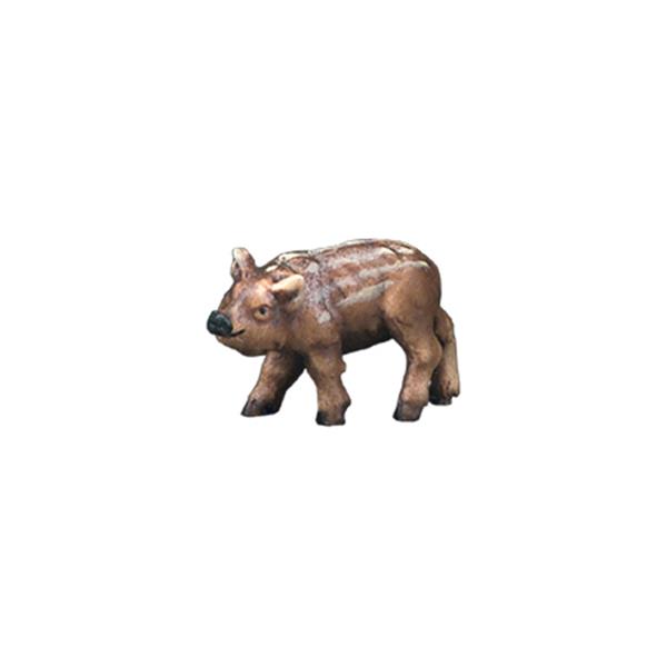 Frischling geradeausschauend Frischling geradeausschauend