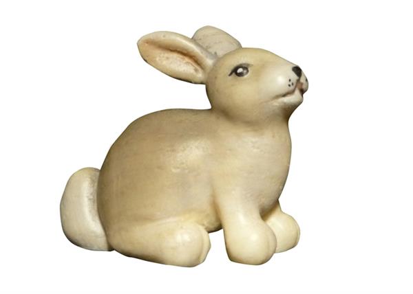 Hase