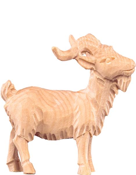 Ziegenbock Ziegenbock