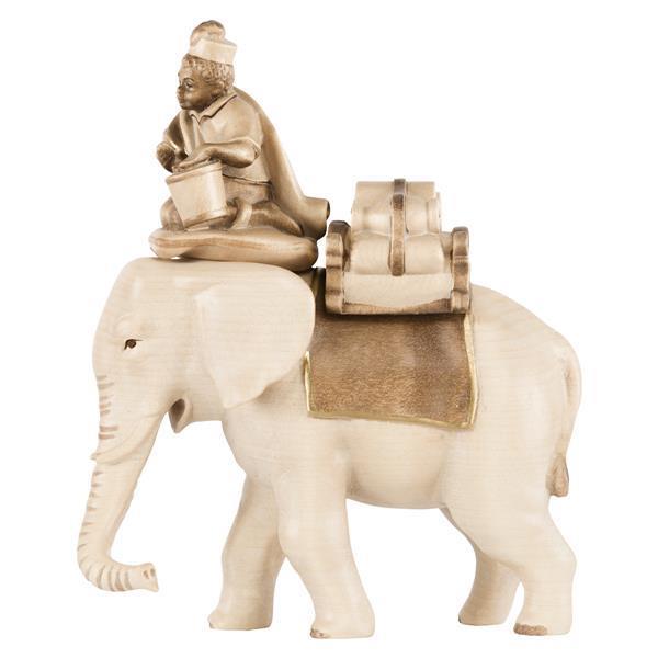 Elefant mit Reiter und Gepäck