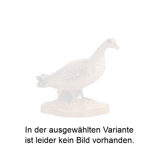 Ente weiß Ente weiß