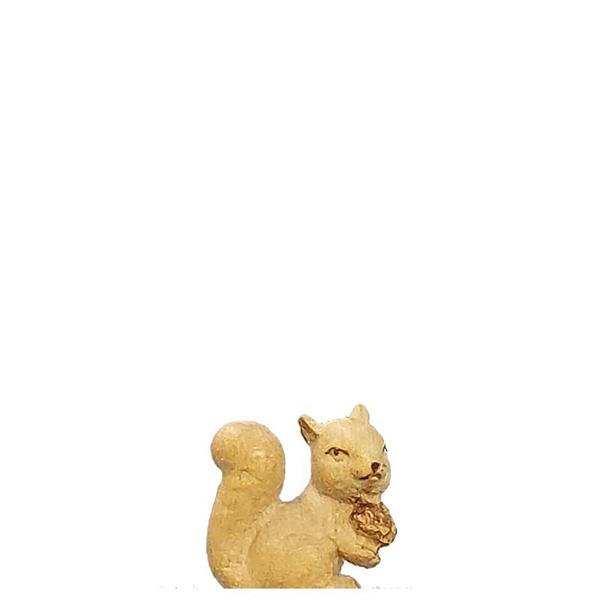 Eichhörnchen