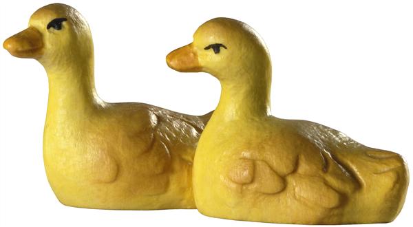 Entenküken 2-er Gruppe Entenküken 2-er Gruppe