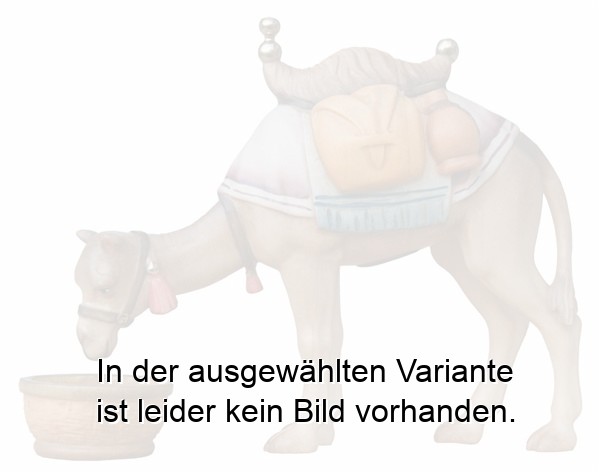 Kamel fressend mit Futterstelle
