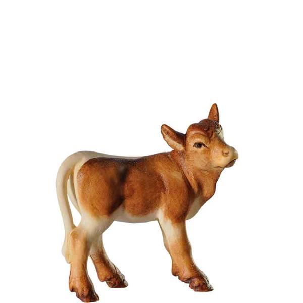 Kalb stehend dunkelbraun Kalb stehend dunkelbraun