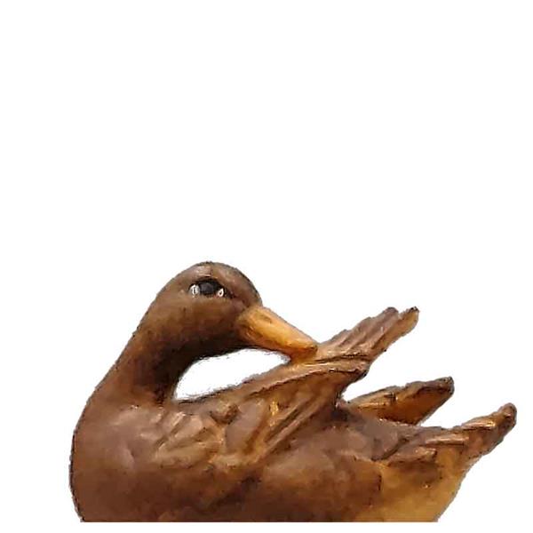 Ente - Flügel putzend braun