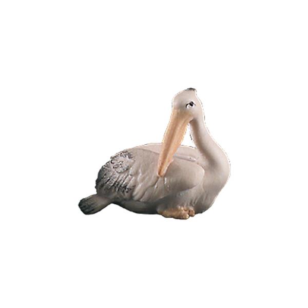 Pelikan nach hinten schauend