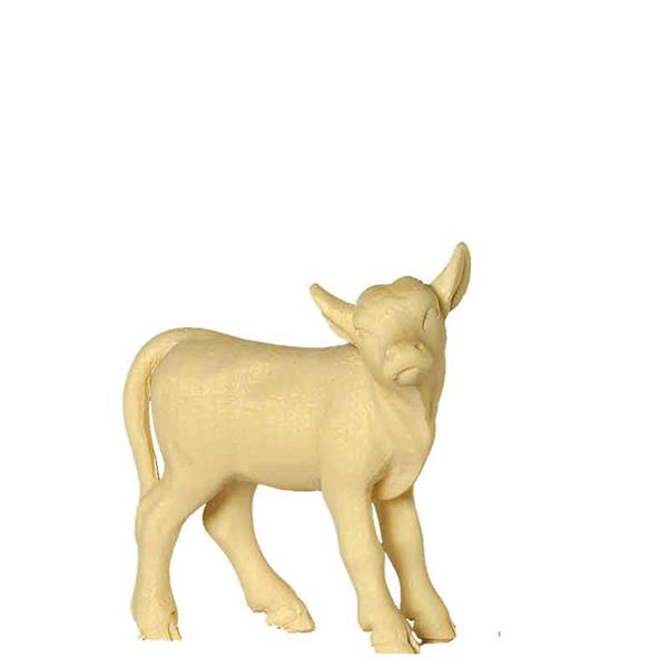 Kalb stehend dunkelbraun