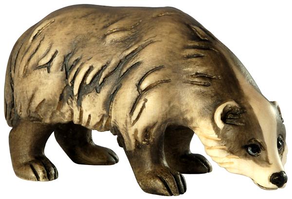 Dachs Kopf unten Dachs Kopf unten