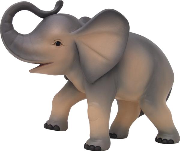 Junger Elefant