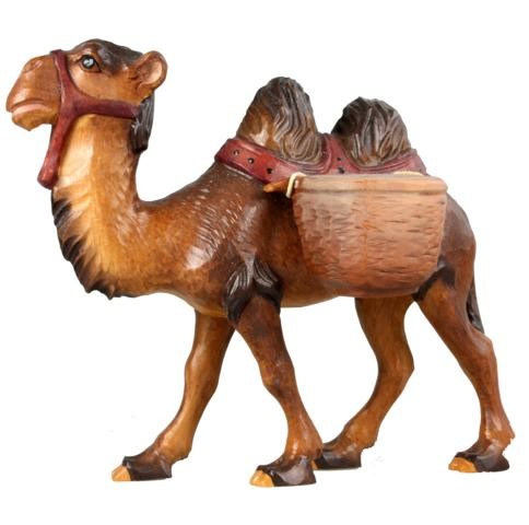 Kamel mit Gepäck Kamel mit Gepäck