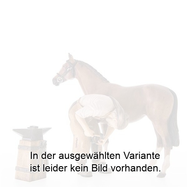 Schmied mit Pferd und Amboss Schmied mit Pferd und Amboss