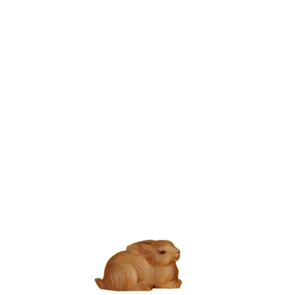 Hase Hase